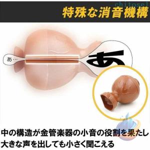 叫びの壺 ストレス解消 ぐちの壺 防音カラオケ...の詳細画像3