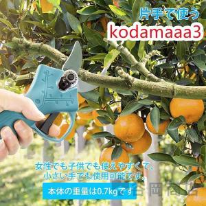 電動 剪定ばさみ 剪定バサミ 枝切ばさみ 枝切...の詳細画像4