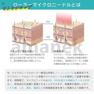 ダーマローラー 育毛 育毛用 効果 針 消毒 ...の詳細画像2