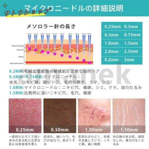 ダーマローラー 育毛 育毛用 効果 針 消毒 ...の詳細画像3
