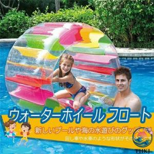 ウォーターホイール 外径120cm フロート ...の詳細画像1