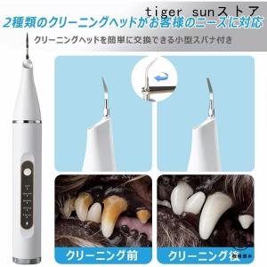 ペット口腔洗浄機 超音波 歯垢除去器 5モード...の詳細画像5