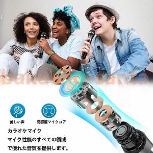 ワイヤレスマイク カラオケ 2本セット ダイナ...の詳細画像1