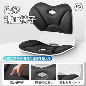 姿勢矯正 椅子 骨盤サポートチェア 骨盤矯正クッション 折りたたみ椅子 骨盤から腰をサポート 高反発メモリー綿 腰当て 猫背改善 携帯式 軽量 ギフト