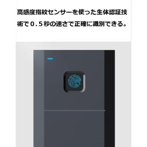 SSD外付け 1TB 指紋認証 小型高速 モバ...の詳細画像5
