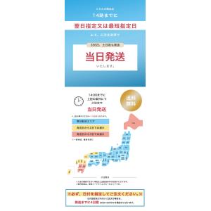 水着 レディース フィットネス水着 セパレート...の詳細画像3