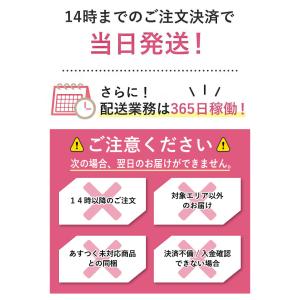 水着 レディース ビキニ bikini 上下 ...の詳細画像1