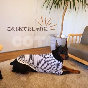犬服 ドッグウェア オールシーズン 薄手 中型...の詳細画像4