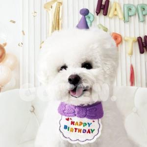 犬 誕生日 グッズ セット バースデー 帽子 ...の詳細画像1
