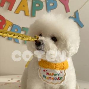 犬 誕生日 グッズ セット バースデー 帽子 ...の詳細画像2
