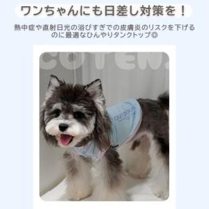 犬 夏服 クール ひんやり 接触冷感 涼しい ...の詳細画像2