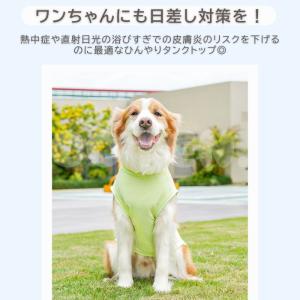 【販売記念セール1980→1690】犬 夏服 ...の詳細画像1