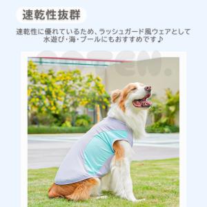 【販売記念セール1980→1690】犬 夏服 ...の詳細画像4