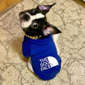 犬服 大型犬 中型犬 小型犬 ドッグウェア ト...の詳細画像4