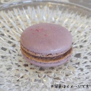 マカロン（ブルーベリーカシス） 　ウエディング,プチギフト,誕生日,内祝い,合格祝い,冠婚葬祭,ギフトにピッタリ