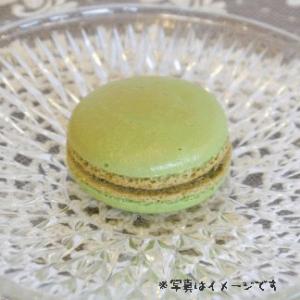 マカロン（ピスタチオ） 　ウエディング,プチギフト,誕生日,内祝い,合格祝い,冠婚葬祭,ギフトにピッタリ