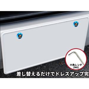 【COTRAX】ナンバーボルト ナンバープレー...の詳細画像2