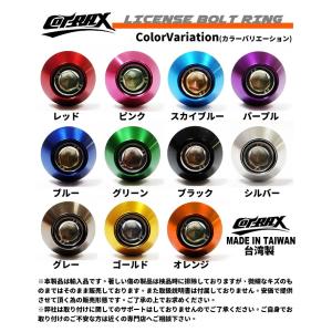【COTRAX】ナンバーボルト ナンバープレー...の詳細画像4
