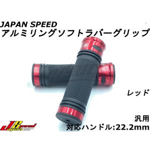 JAPAN SPEED】ロースタイル防眩ブルーミラー左右セット 汎用 M10正/逆