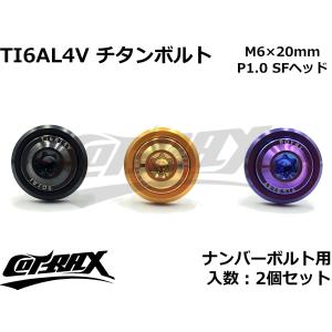 ROYAL 64チタンナンバーボルト 全3色 2個セット M6×20mm