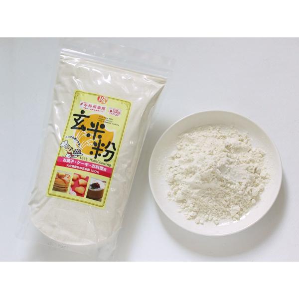 大分県産米 玄米粉100％（微細粉）500g