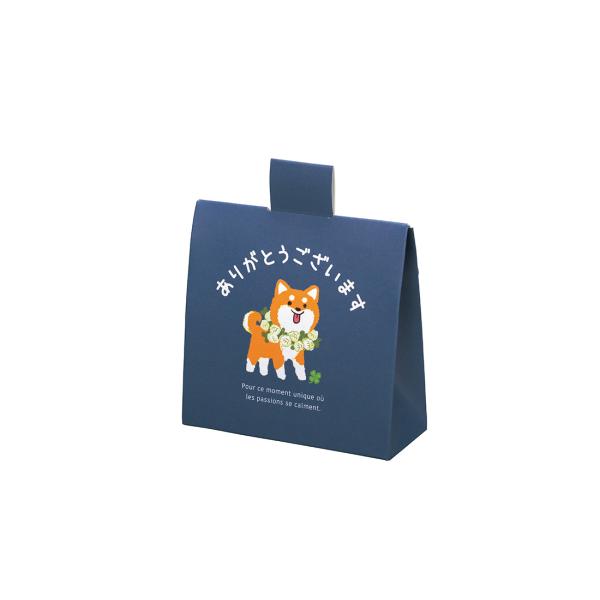 ギフト箱 シャン しばいぬ