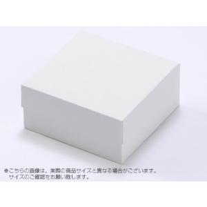 A67230 ロックBOX120【プレス】185（5寸用）（100枚）185×185