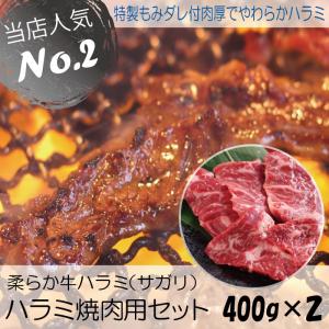 BBQ 送料無料 柔らか牛ハラミ焼肉 焼き肉用セット はらみサガリ 400g2トレー 計800g バーベキュー BBQ キャンプ 夏休み
