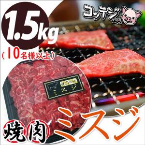 ミスジ焼肉セット 焼き肉セット みすじ 牛 牛肉 2kg  焼肉 バーベキュー セット 肉 BBQ 大容量