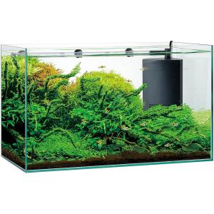 グラステリア600の商品一覧 通販 Yahoo ショッピング