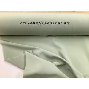 お買い得!100円布 ポリエステル ペールグリーンの詳細画像2