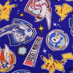 生地 ポケットモンスター ポケモン ピカチュウ 布 キャラクター オックス 綿 宇宙 紺 布地 110cm幅 商用利用不可 メール便2mまで可