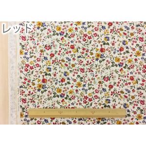 生地 花柄 布 リバティ風 小花柄 ボタニカル...の詳細画像1