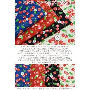 オックス フルーツフラワーさくらんぼ(単位50cm)の詳細画像1