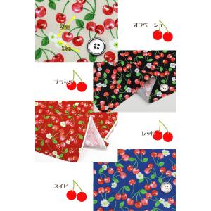 オックス フルーツフラワーさくらんぼ(単位50cm)の詳細画像2