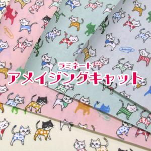 つや消しラミネート アメイジングキャット（単位10cm）