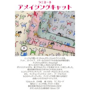 つや消しラミネート アメイジングキャット(単位...の詳細画像1