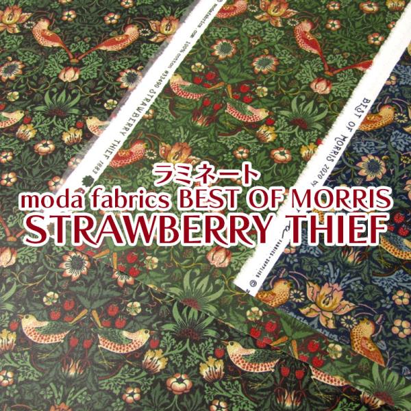 つや消しラミネート moda fabrics BEST OF MORRIS STRAWBERRY T...