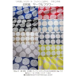 つや消しラミネート コットンこばやし う早この...の詳細画像1