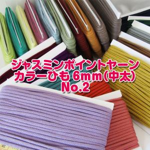 ジャスミン　ポイントヤーンカラーひも6mm【中太】No.2（単位10cm）