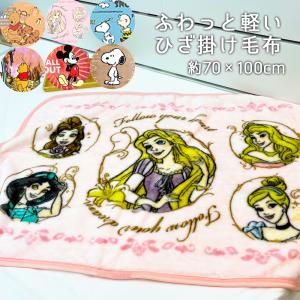 ひざかけ ブランケット ひざ掛け 送料無料 あったか ふわふわ 軽い スヌーピー くまのプーさん ミッキー snoopy micky