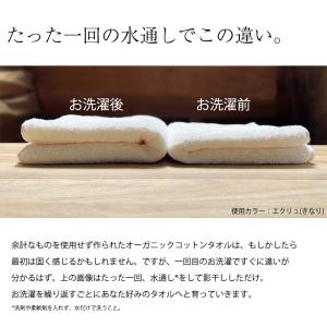 タオル ビッグフェイスタオル オーガニック コ...の詳細画像4