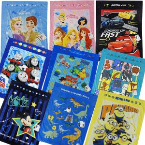 タオルケット 子供用 肌布団 お昼寝ケット タオル Disney