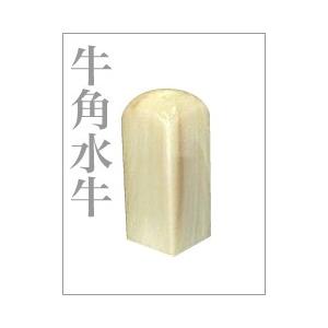 会社印鑑 はんこ 社角印 牛角印材（薄色柄極上）〔21mm棒角〕ケース付