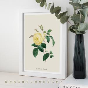 ポスター ボタニカル イエローローズ バラ 花...の詳細画像1