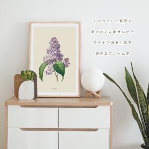 ポスター ボタニカル ライラック 花 観葉植物...の詳細画像1