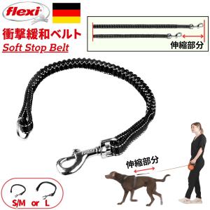 flexi（フレキシ） フレキシリード ジャイアント 正規代理店 2年保証