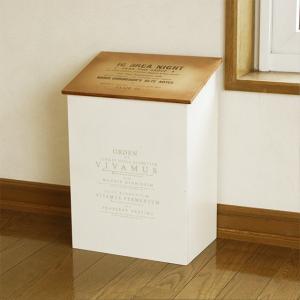 ごみ箱 おしゃれ かわいい 木製 ゴミ箱 子供部屋 おもちゃ箱 ハウス型
