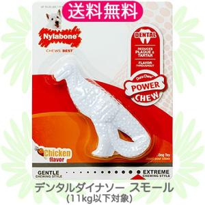 【小型犬用】スモール デンタルダイナソー Nylabone ティラノザウルス メール便送料無料｜countryfield