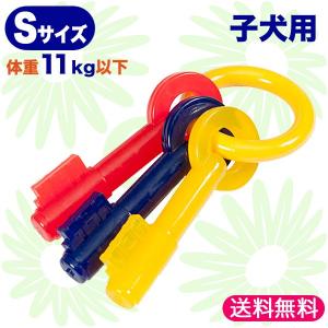 【子犬用・Sサイズ・11kg以下】パピーティージングキー ナイラボーン メール便送料無料｜countryfield